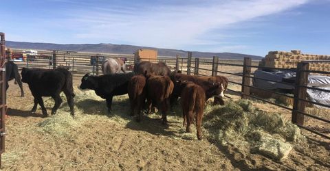11069 Mosquito Road, Gerlach, NV 89412 Photo