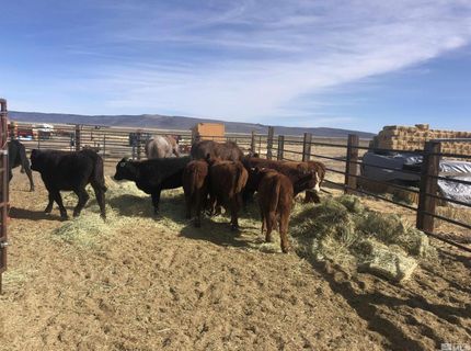 11069 Mosquito Road, Gerlach, NV 89412 Photo