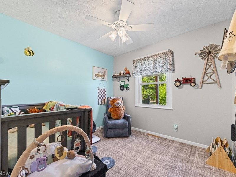 2088 Antigua Road SW, Carrollton, OH 44615 Photo 22