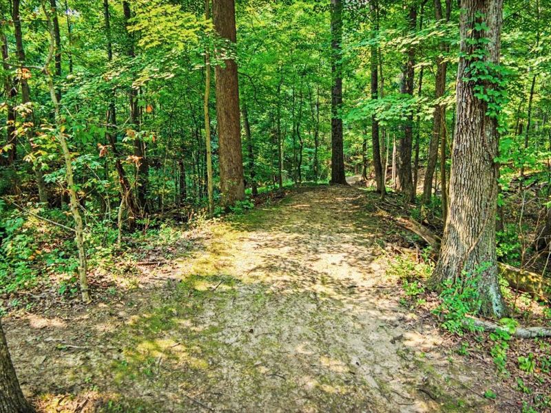 AC Smith Road, Monroe Township, OH 45153 Photo 13