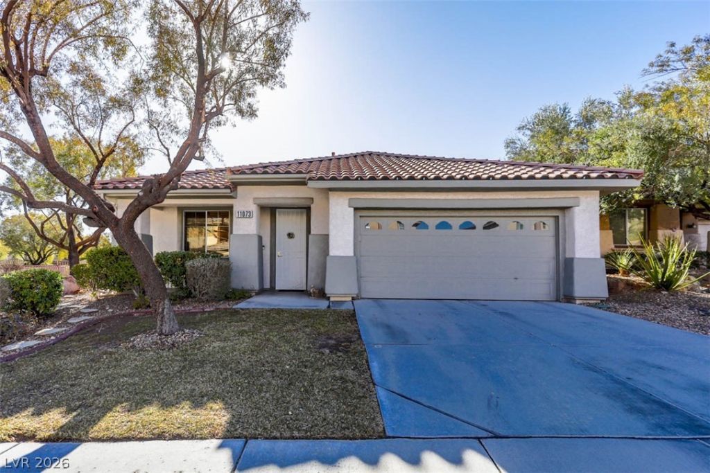 11073 Village Ridge Lane, Las Vegas, NV 89135 Main Photo