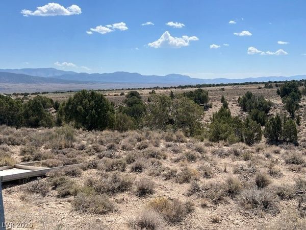 Pinyon Pine , Ely, NV 89301