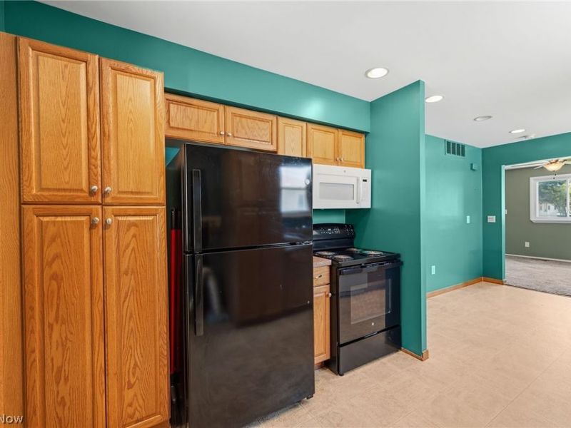 4807 Willowbrook Drive , Mentor, OH 44060 Photo 13
