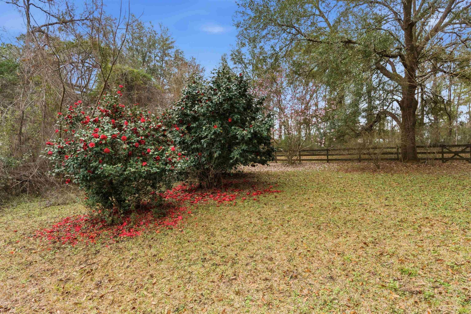 4171 Hidden Creek Lane , Tallahassee, FL 32311 Photo