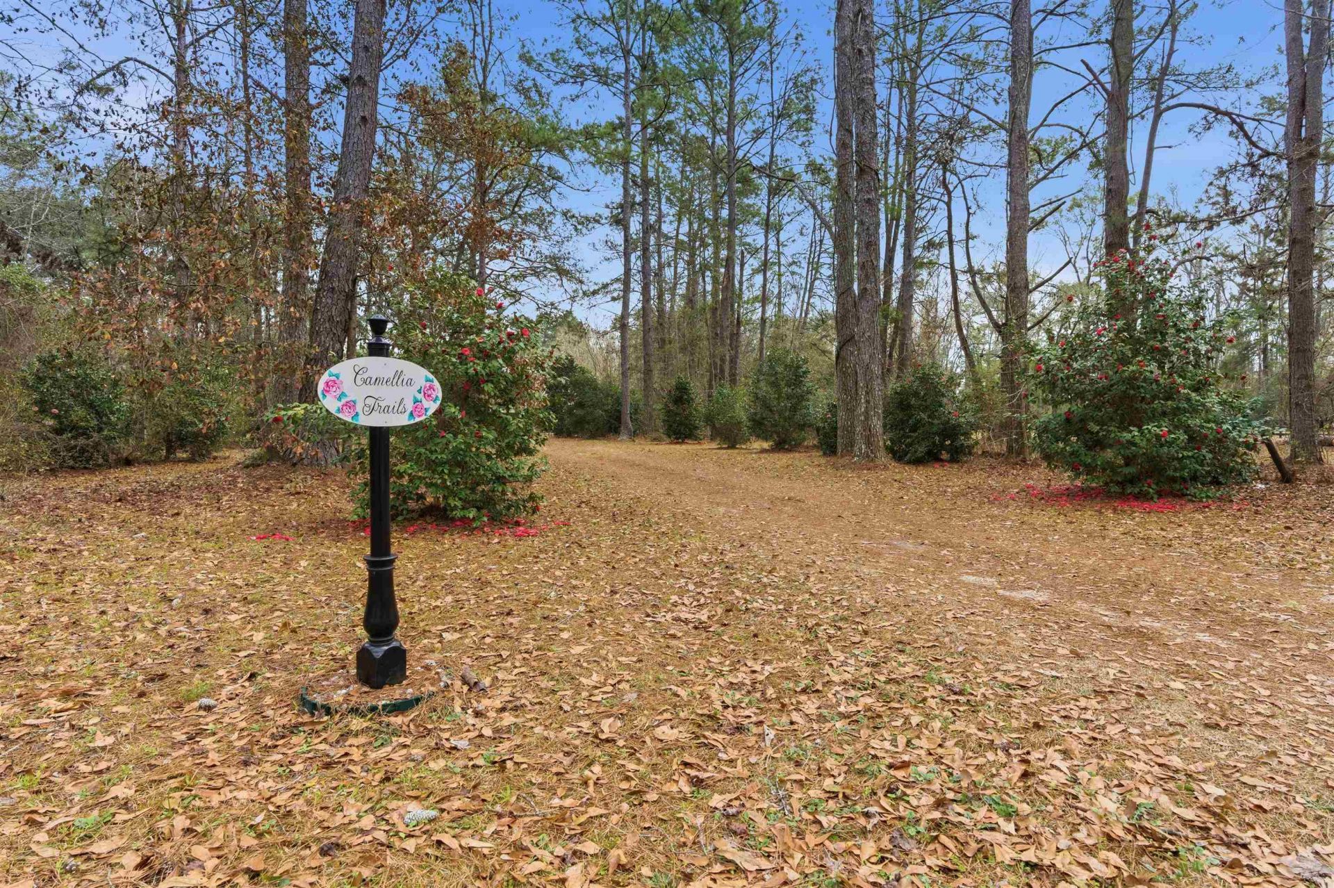 4171 Hidden Creek Lane , Tallahassee, FL 32311 Photo