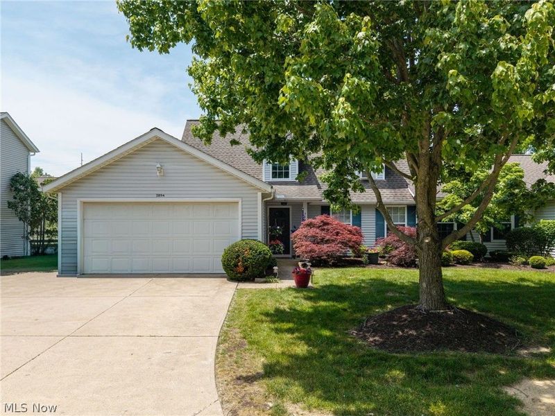 3894 Dartford Lane , Medina, OH 44256 Photo 2