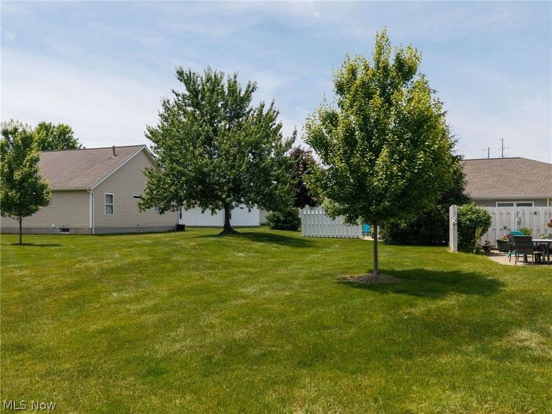 3894 Dartford Lane , Medina, OH 44256 Photo 23