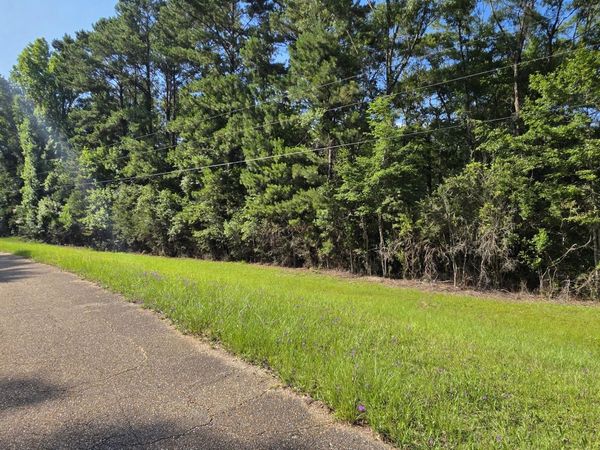 0 Turkey Fork Rd., Richton, MS 39476