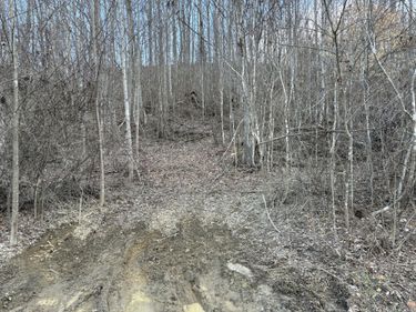 1251 Sarvice Hollow Road, Irvine, KY 40336