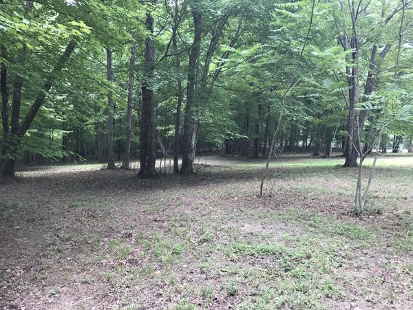 503 Wilderness Way , Unit 503, Dunlap, TN 37327