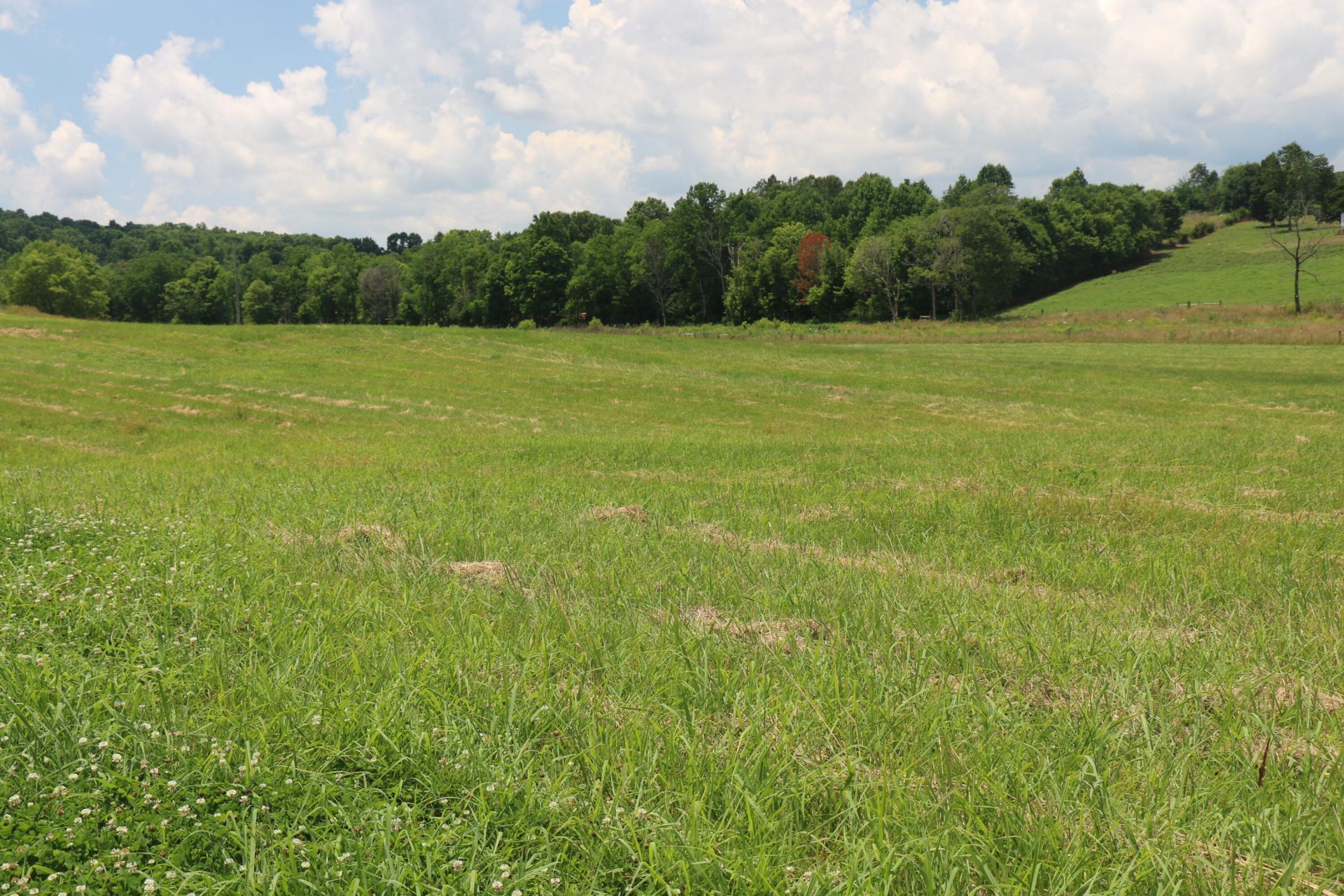 Lot 5r County Road 461 , Englewood, TN 37329 Main Photo