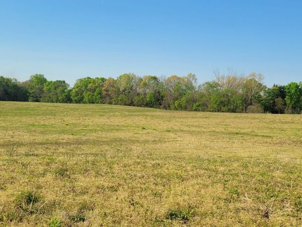 1 Mount Lebanon Church Rd , Unit 1, Shelbyville, TN 37160