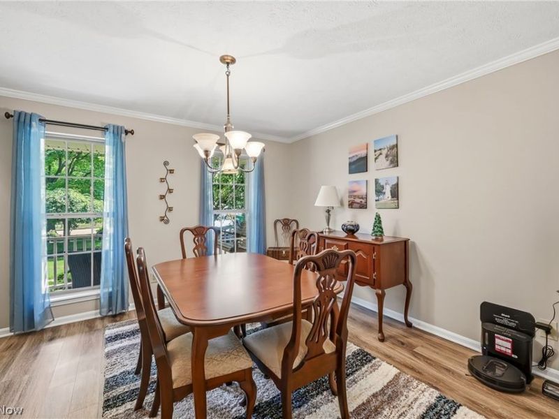 2009 Deer Meadow Boulevard, Streetsboro, OH 44241 Photo 18