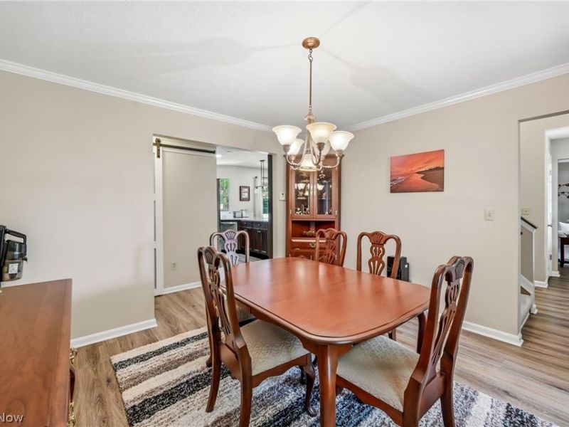 2009 Deer Meadow Boulevard, Streetsboro, OH 44241 Photo 19