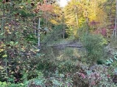 1003 Wilber Hill Road, Blaine, KY 41124