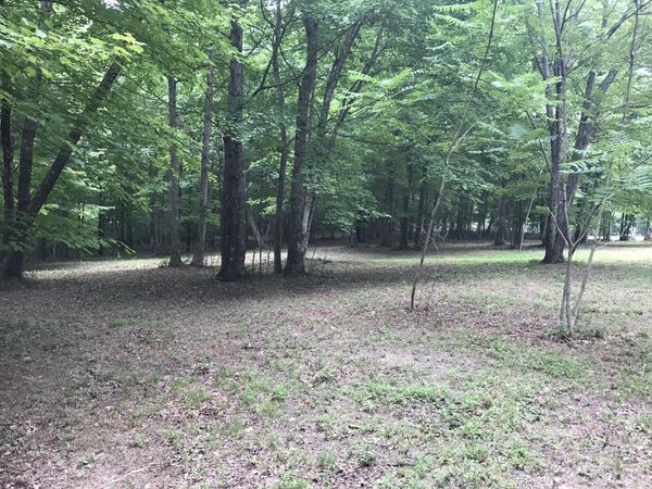 503 Wilderness Way , Dunlap, TN 37327