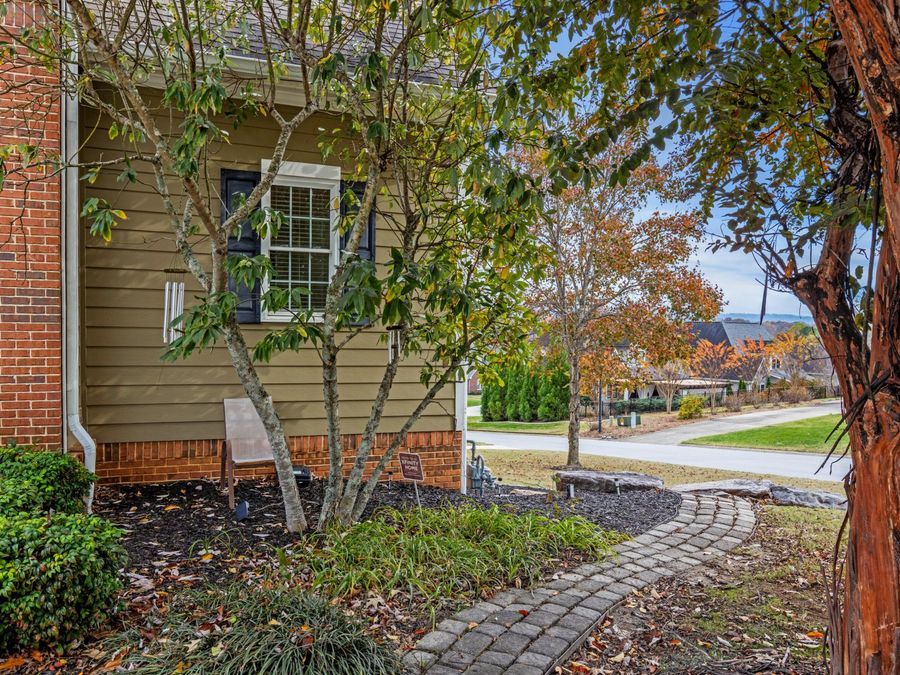 Property Image 75