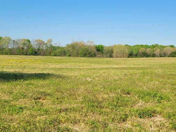 3 Coleman Harvey Rd , Unit 3, Shelbyville, TN 37160