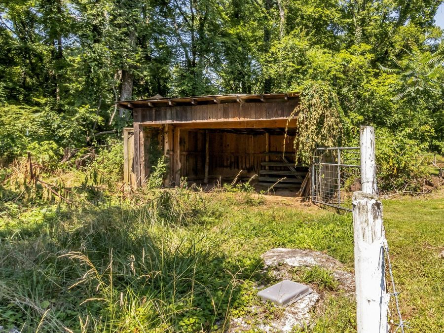 Property Image 5