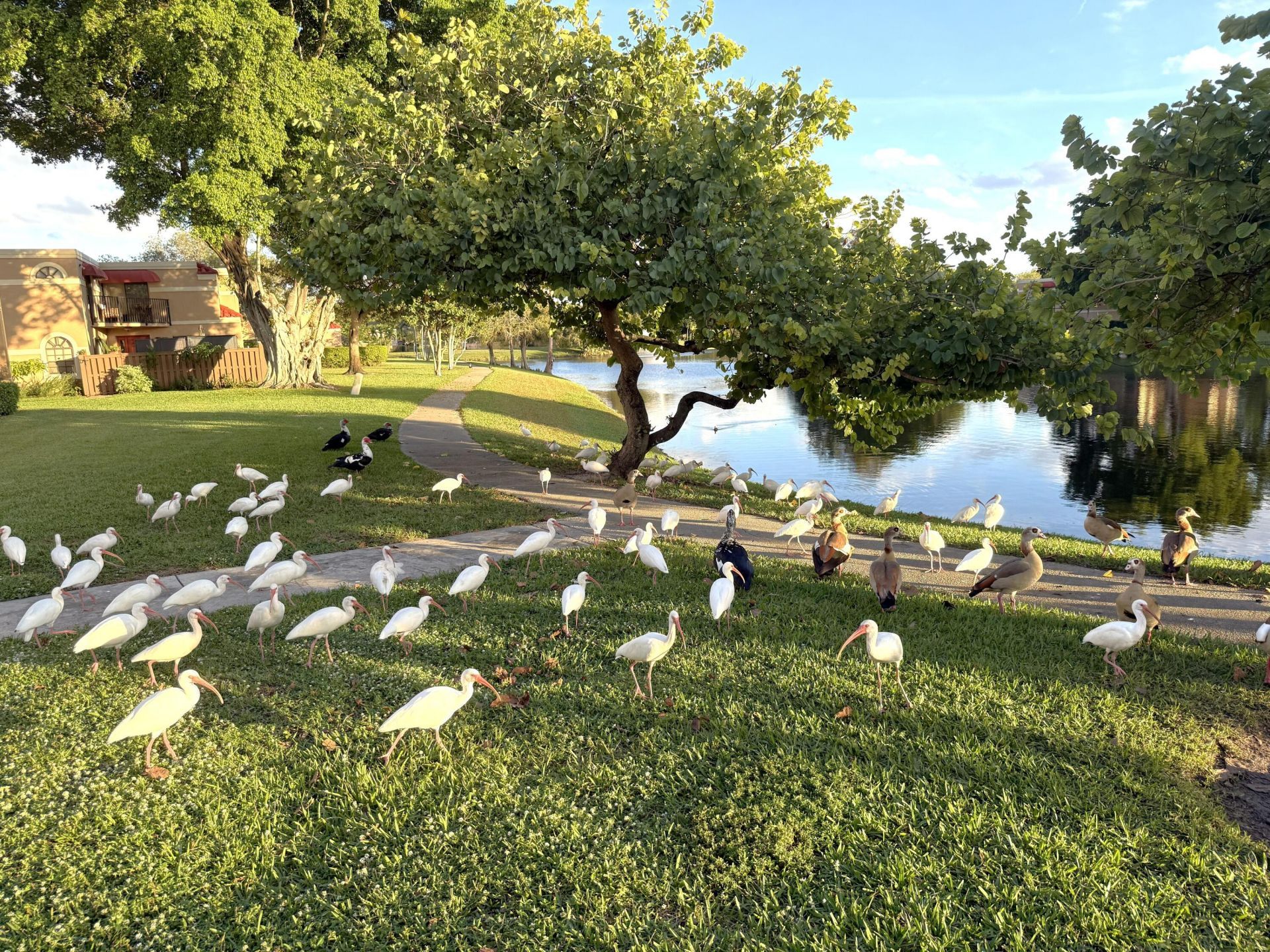 8255 Severn Drive, Unit D, Boca Raton, FL 33433 Photo