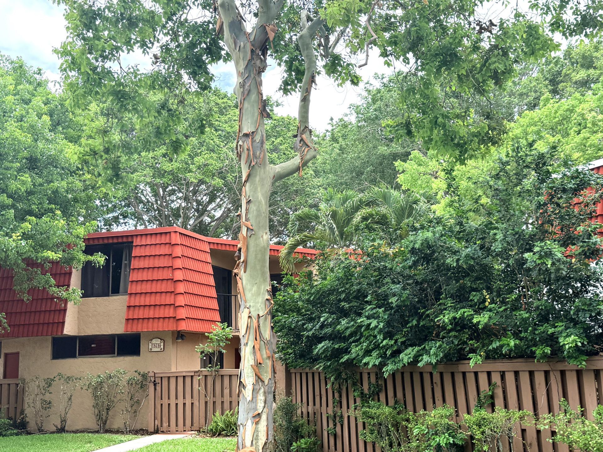 8255 Severn Drive, Unit D, Boca Raton, FL 33433 Photo