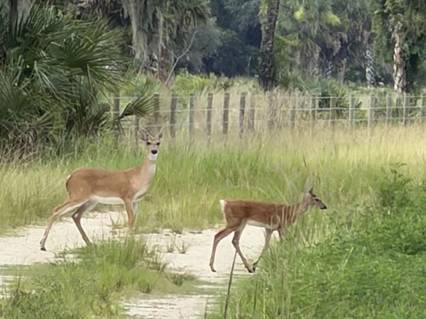 0 Co Rd 832, Clewiston, FL 33440