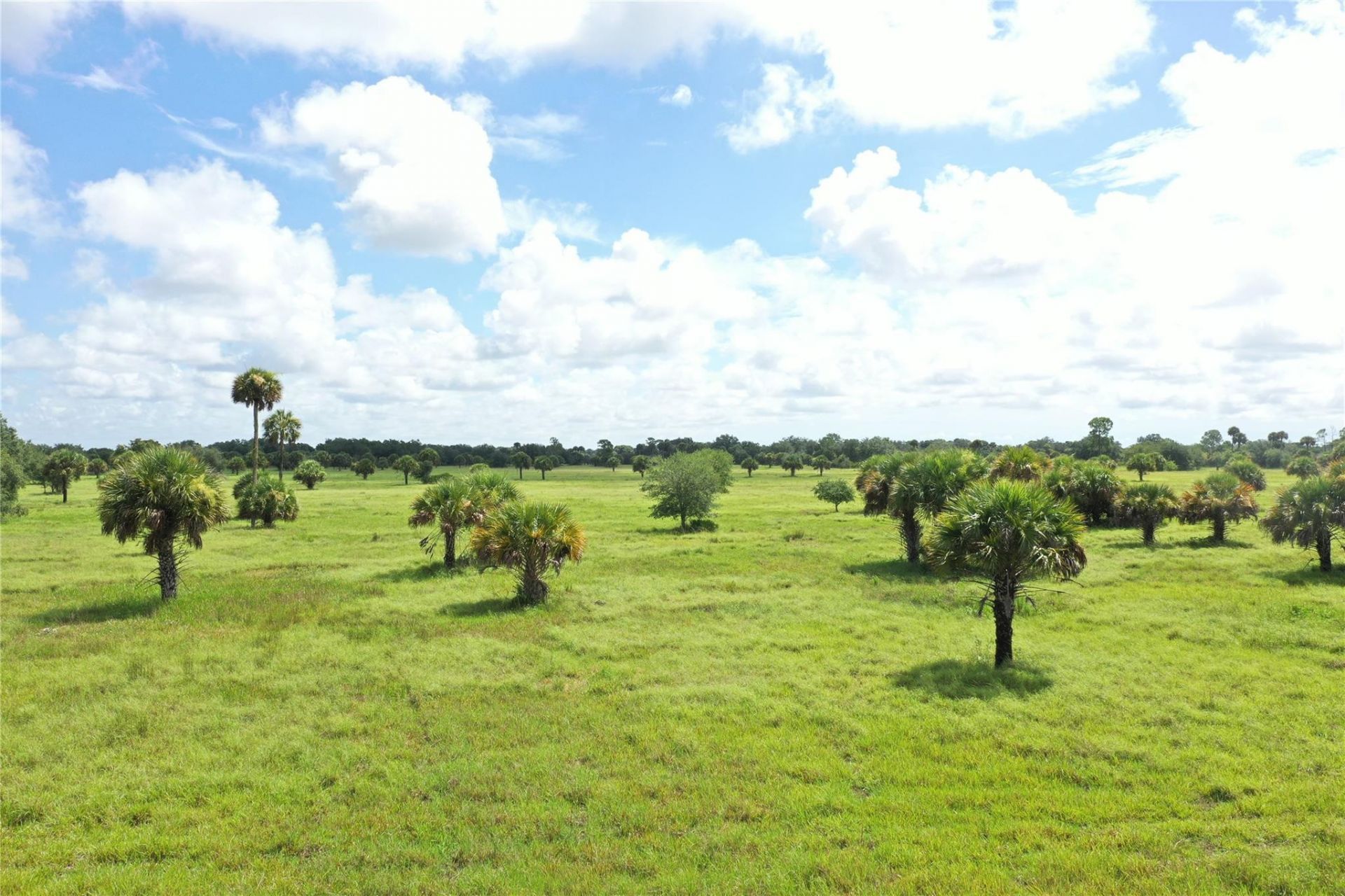 0 Co Rd 832, Clewiston, FL 33440 Photo