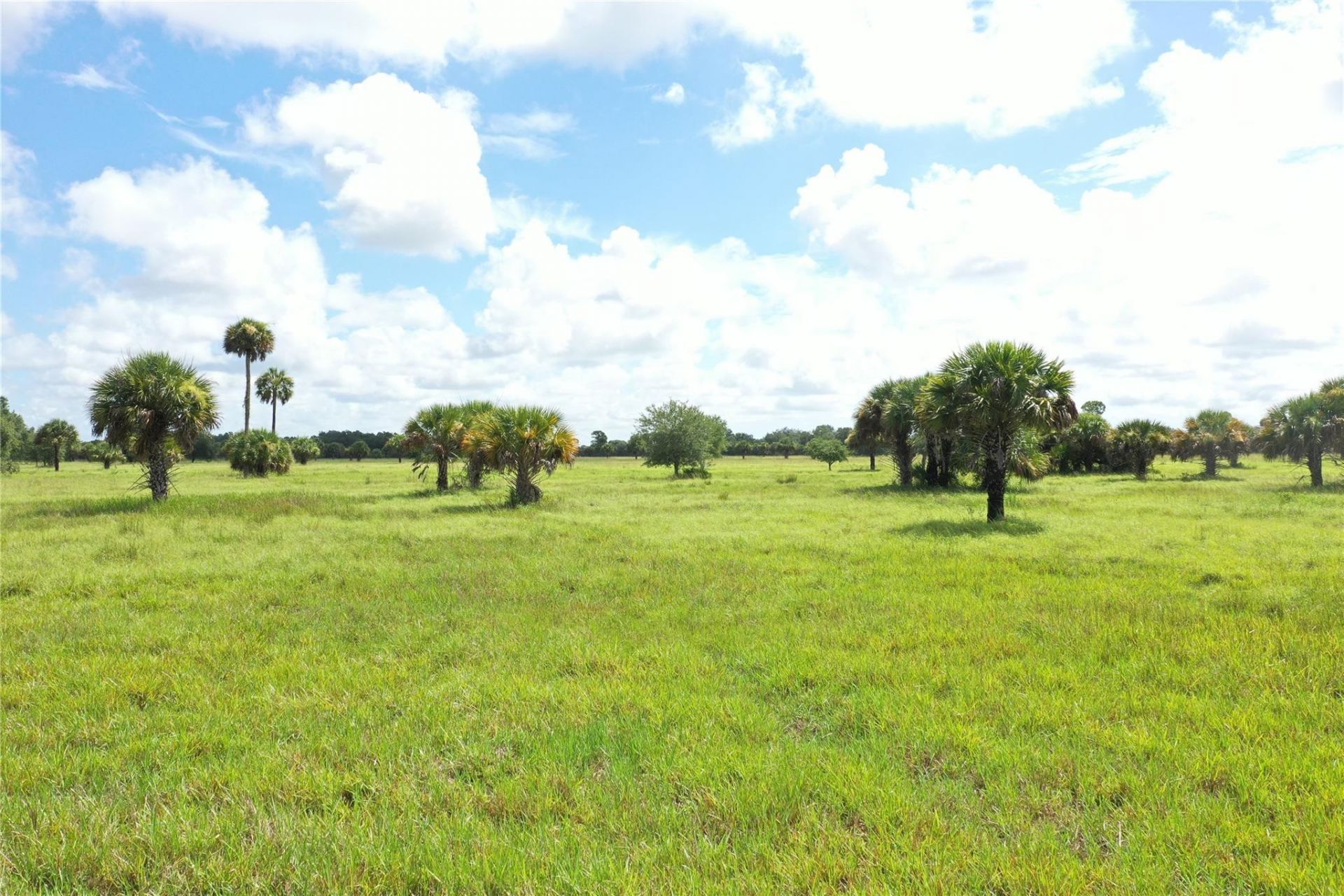 0 Co Rd 832, Clewiston, FL 33440 Photo