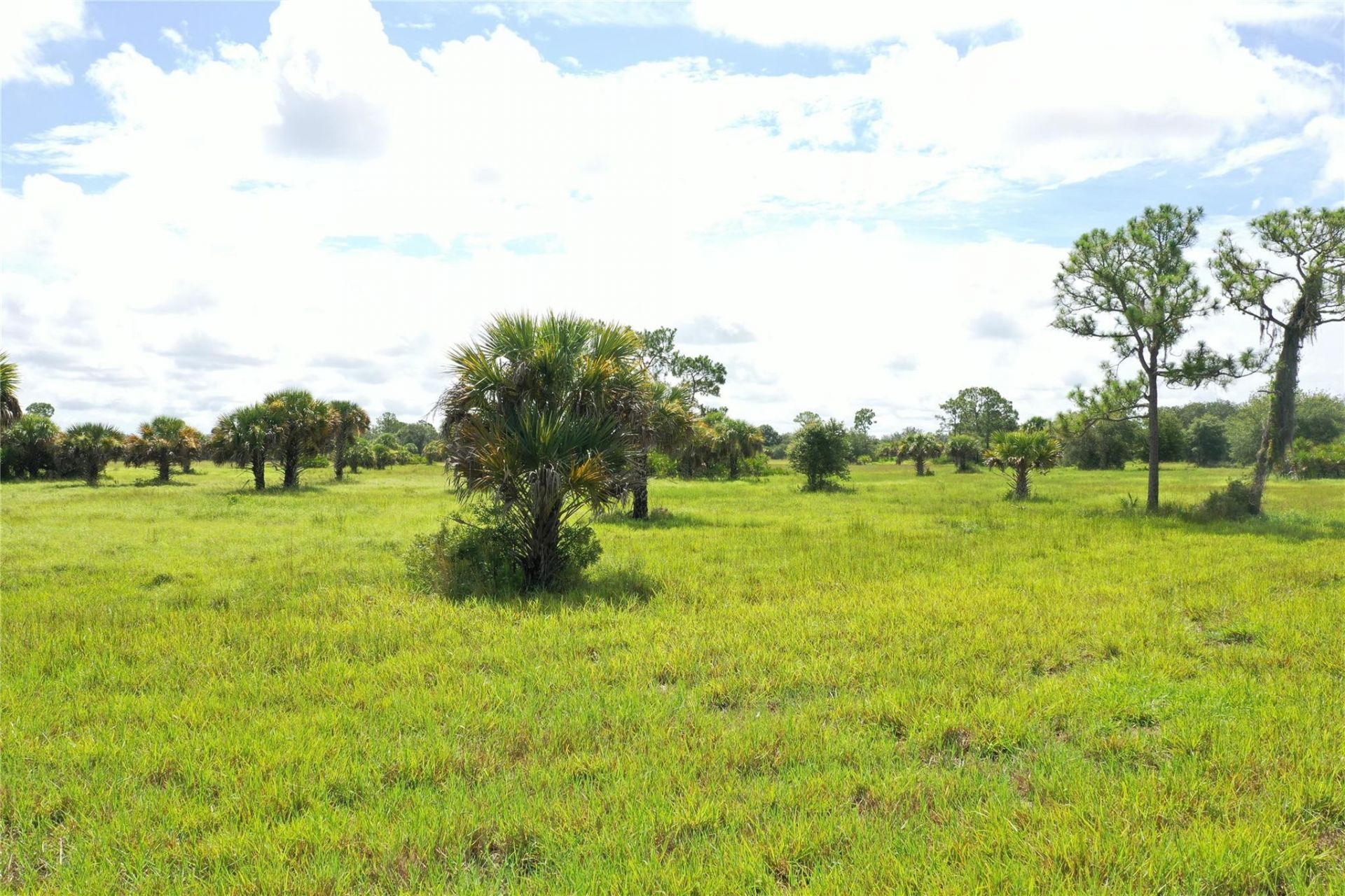 0 Co Rd 832, Clewiston, FL 33440 Photo