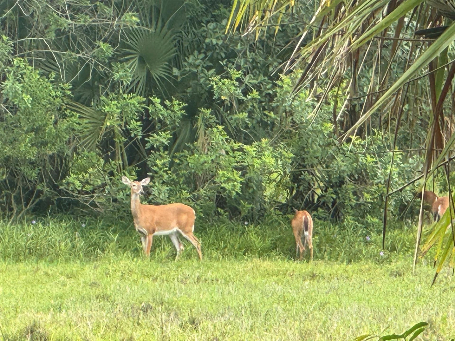 0 Co Rd 832, Clewiston, FL 33440 Photo