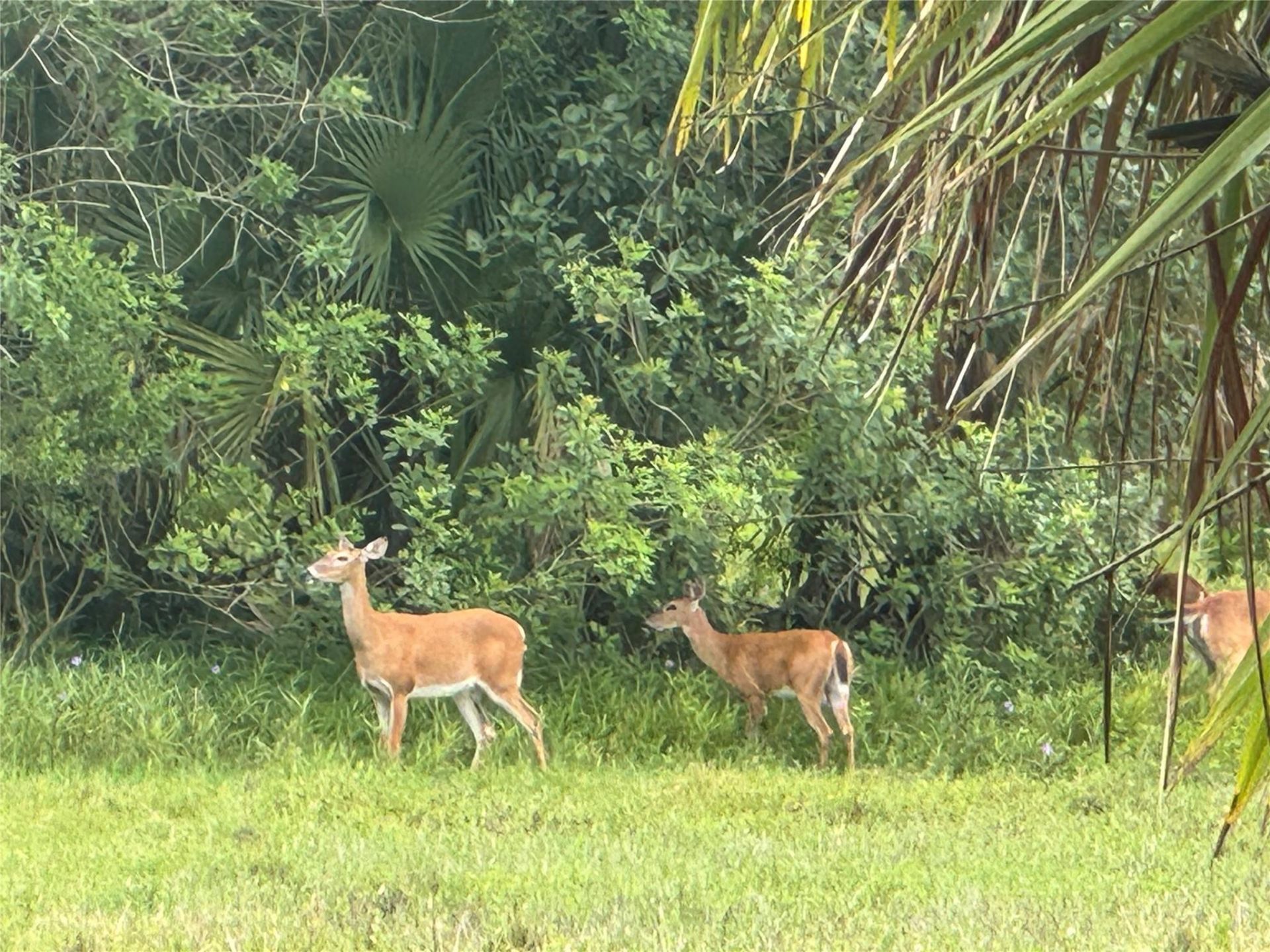 0 Co Rd 832, Clewiston, FL 33440 Photo
