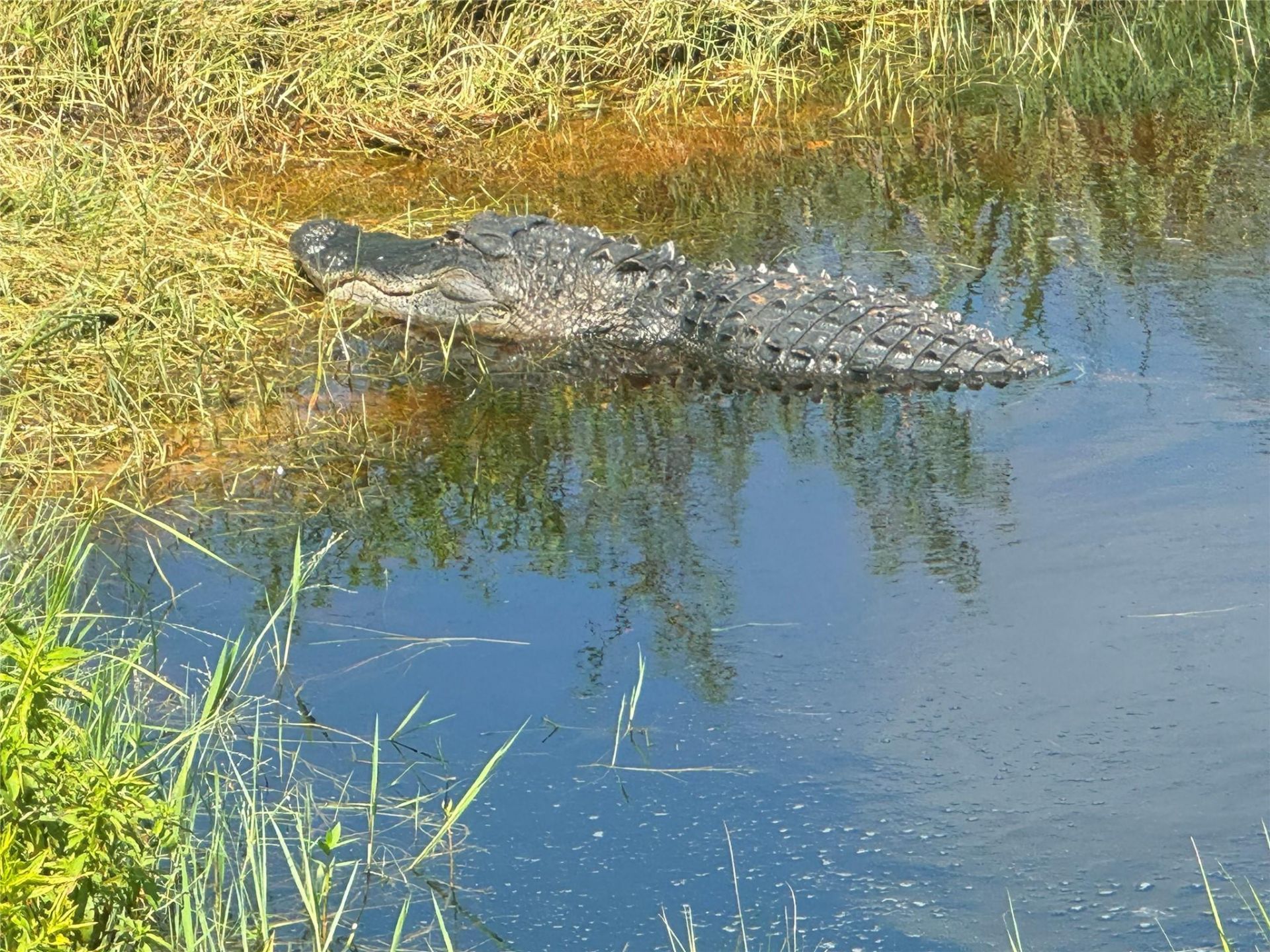0 Co Rd 832, Clewiston, FL 33440 Photo