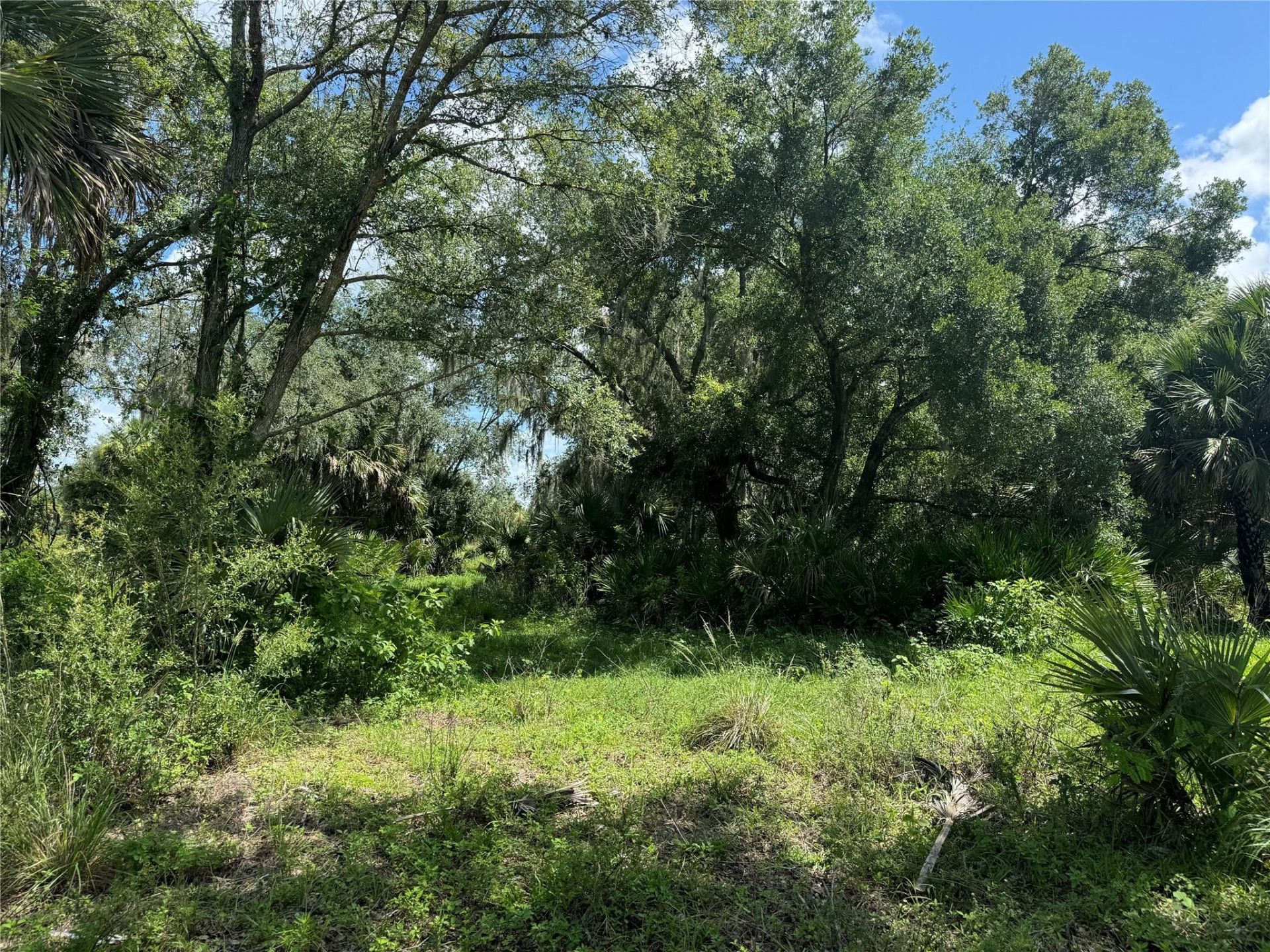 0 Co Rd 832, Clewiston, FL 33440 Photo