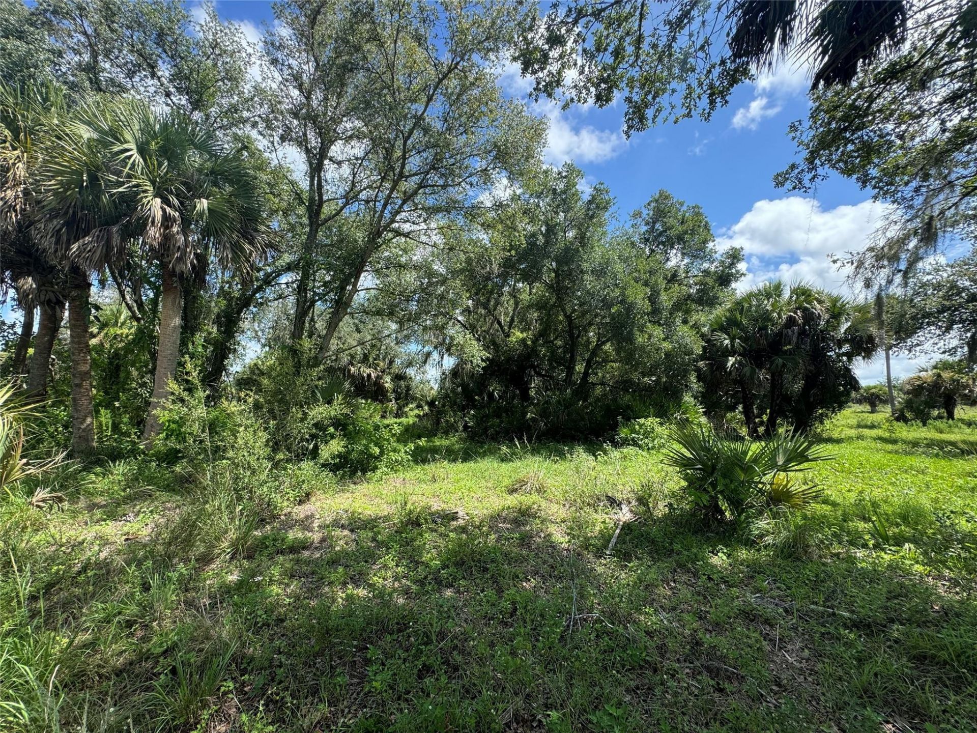 0 Co Rd 832, Clewiston, FL 33440 Photo