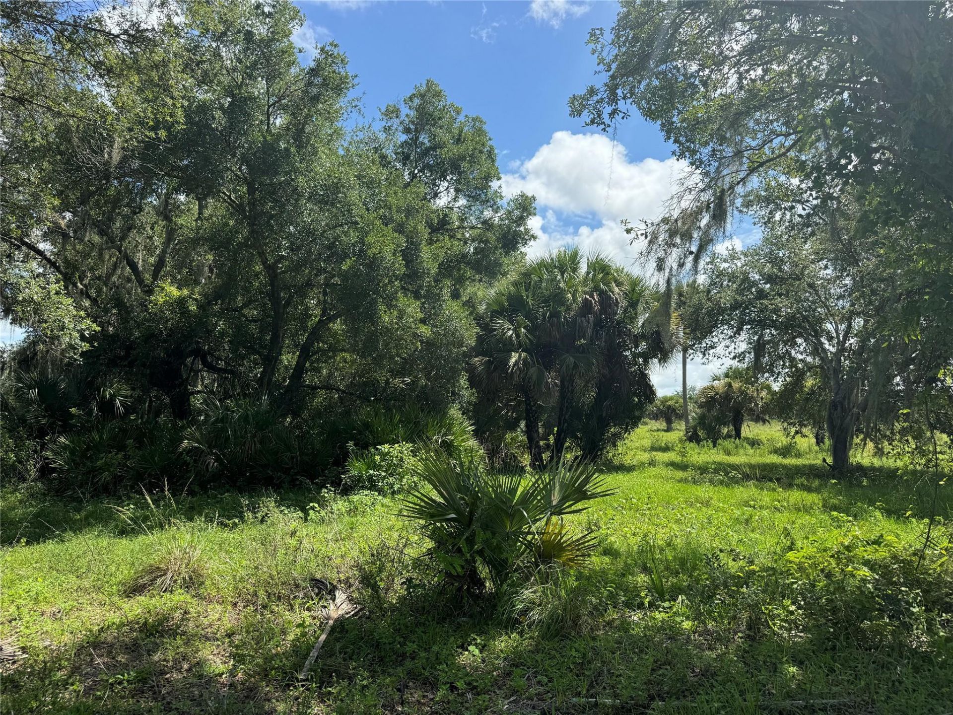 0 Co Rd 832, Clewiston, FL 33440 Photo