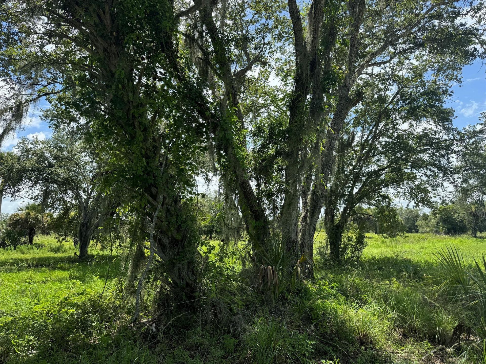 0 Co Rd 832, Clewiston, FL 33440 Photo
