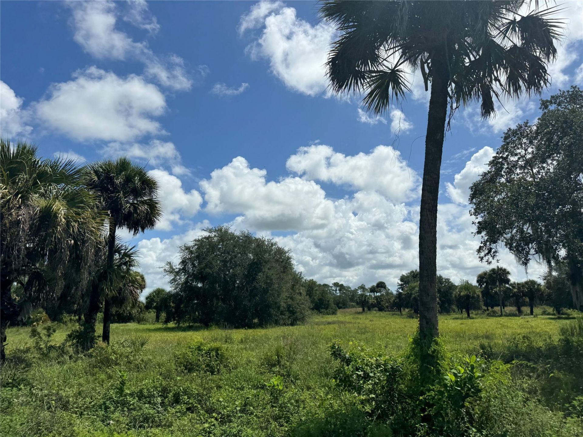 0 Co Rd 832, Clewiston, FL 33440 Photo