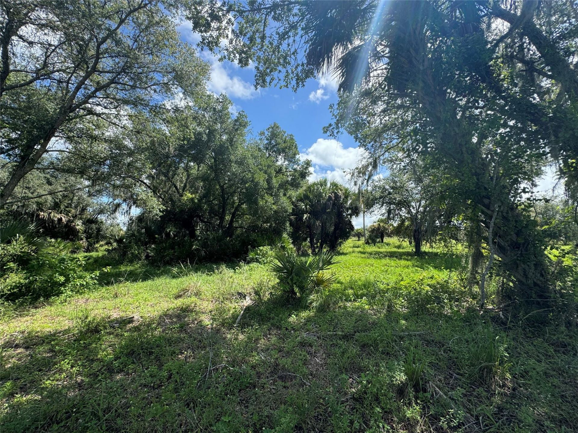 0 Co Rd 832, Clewiston, FL 33440 Photo