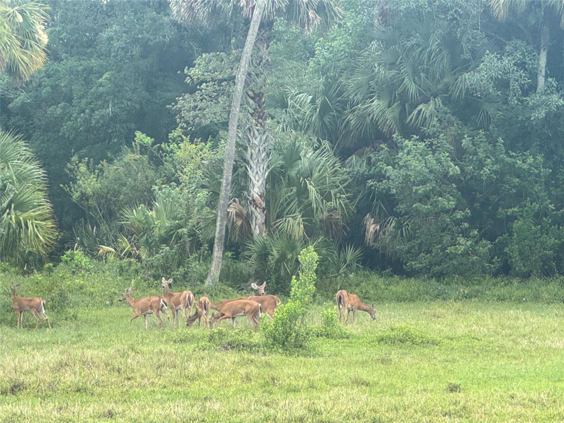 0 Co Rd 832, Clewiston, FL 33440 Photo