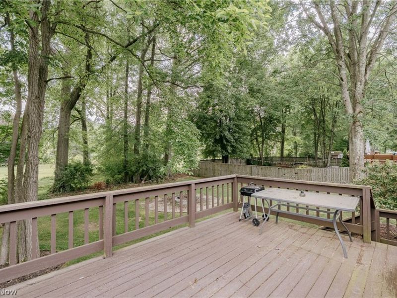 332 Stahl Avenue, Cortland, OH 44410 Photo 26