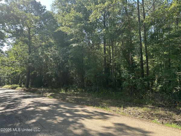 J C Prestage Road, Pelahatchie, MS 39145