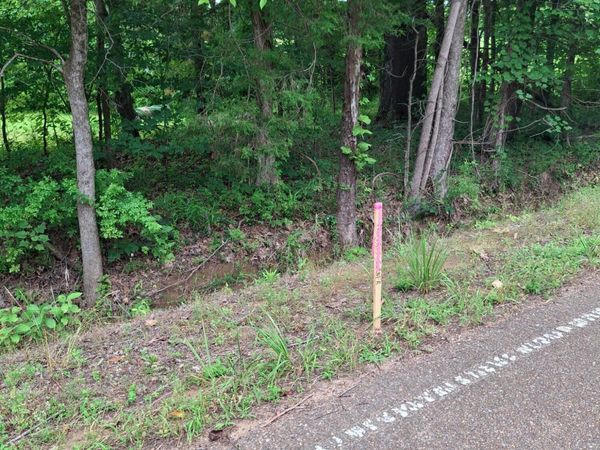 0 Denman Road, Byhalia, MS 38611