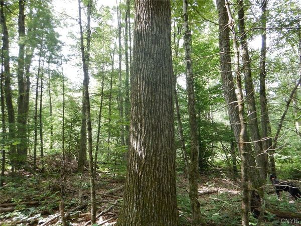 Bull Hill Road, Newfield, NY 14867