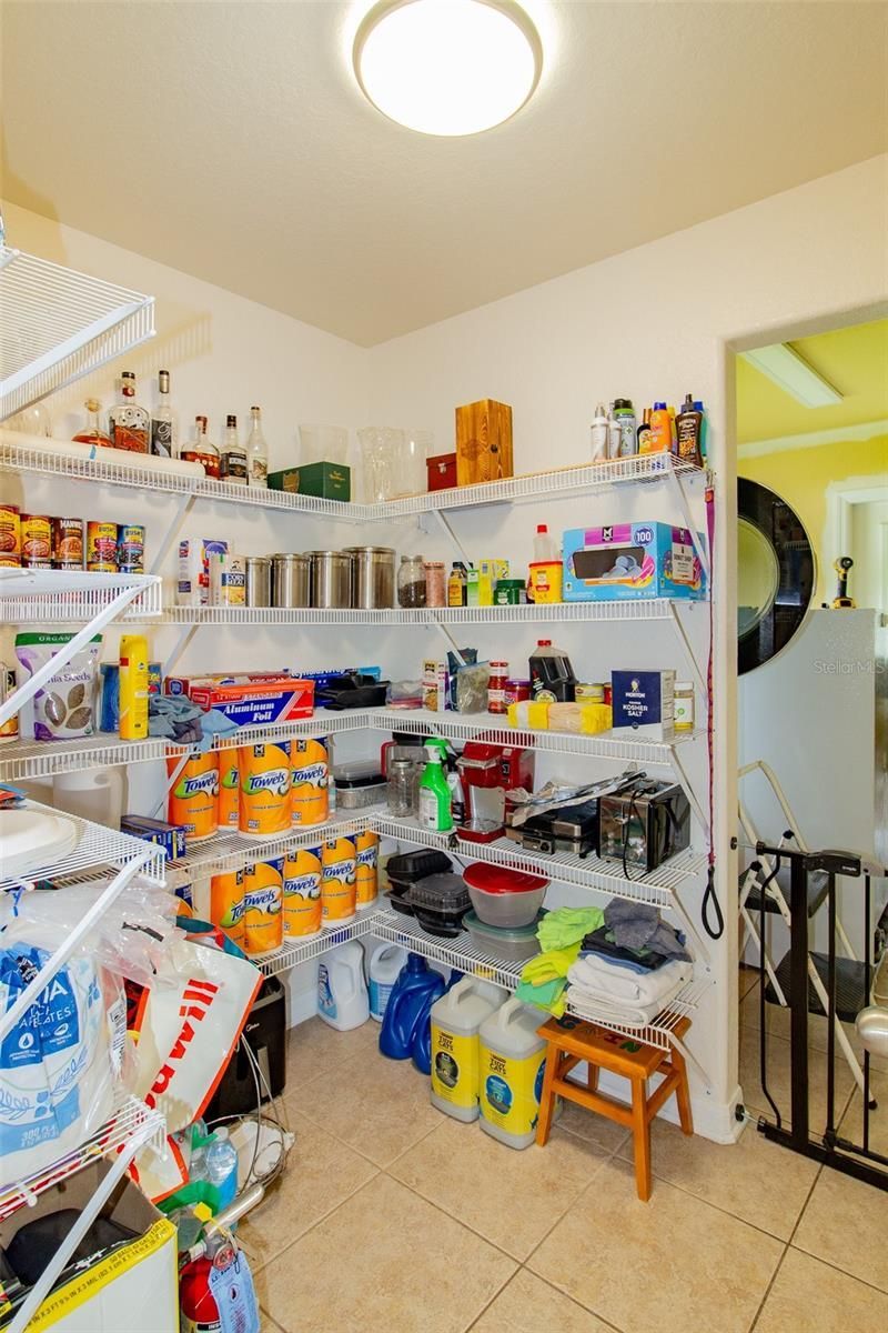 2602 Blackwater Oaks Lane , Mulberry, FL 33860 Photo
