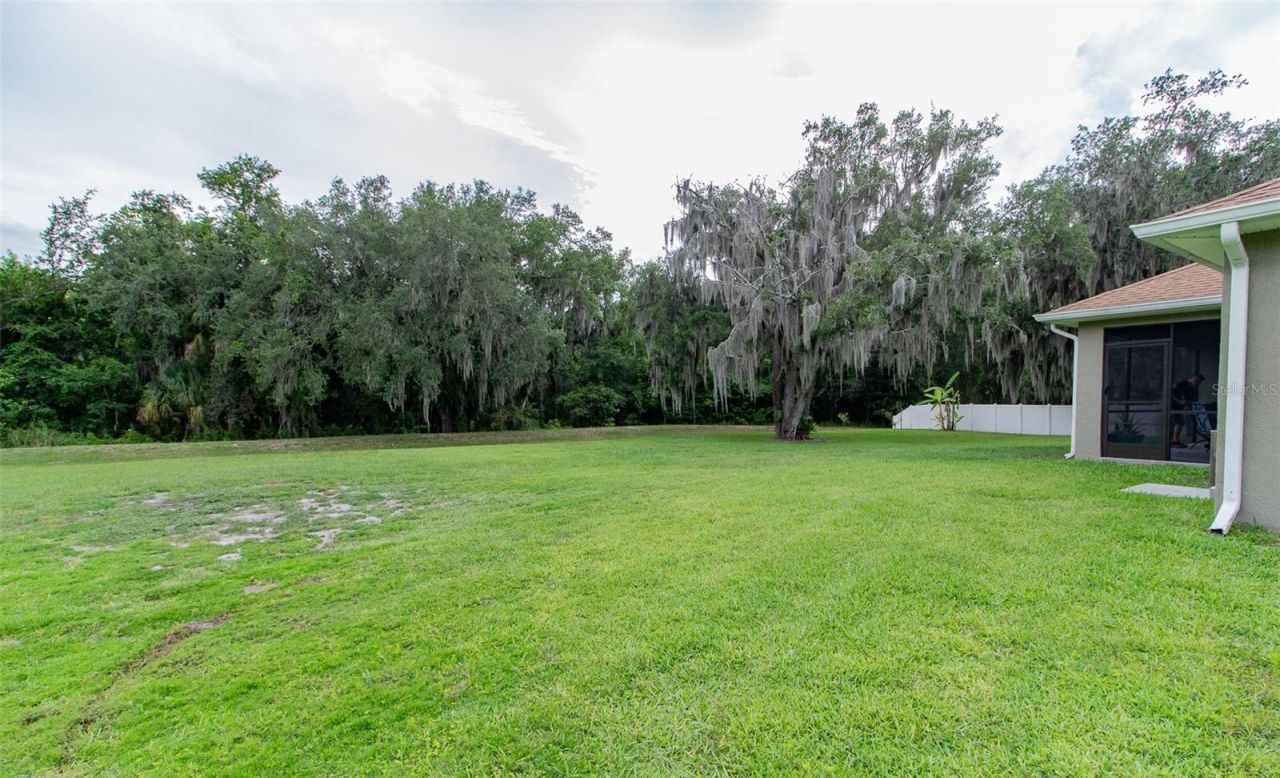 2602 Blackwater Oaks Lane , Mulberry, FL 33860 Photo