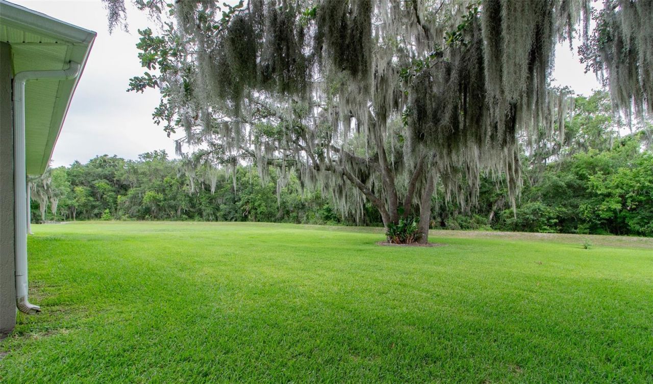 2602 Blackwater Oaks Lane , Mulberry, FL 33860 Photo