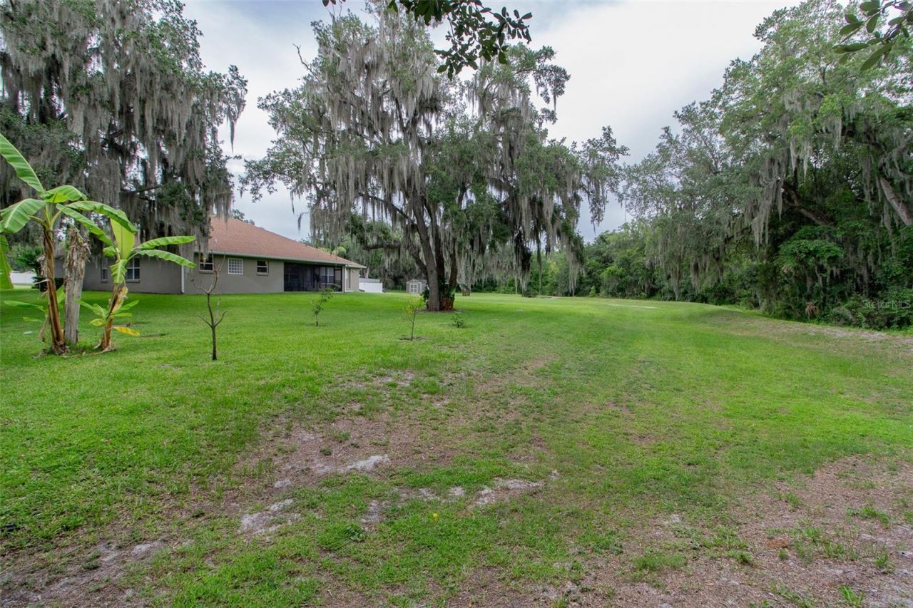 2602 Blackwater Oaks Lane , Mulberry, FL 33860 Photo