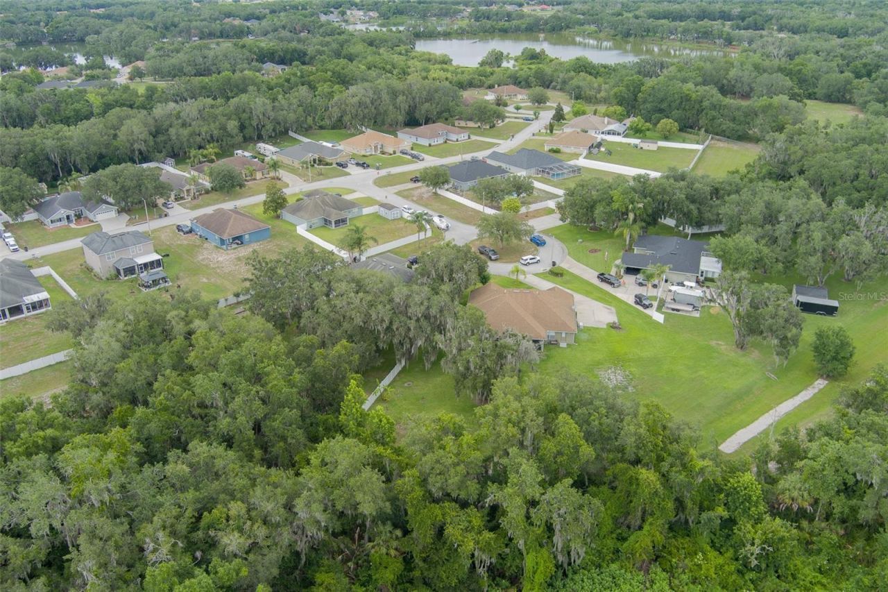 2602 Blackwater Oaks Lane , Mulberry, FL 33860 Photo