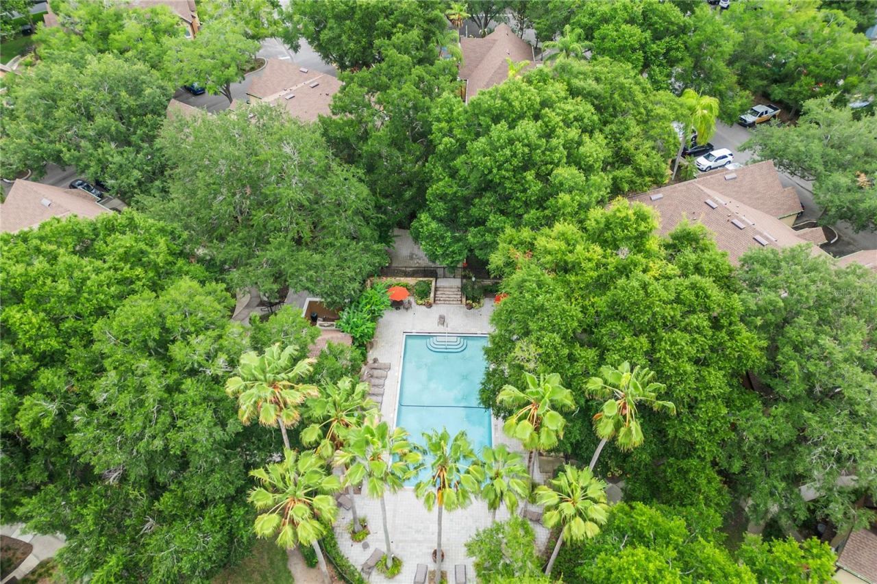 6324 Raleigh Street , Unit 702, Orlando, FL 32835 Photo