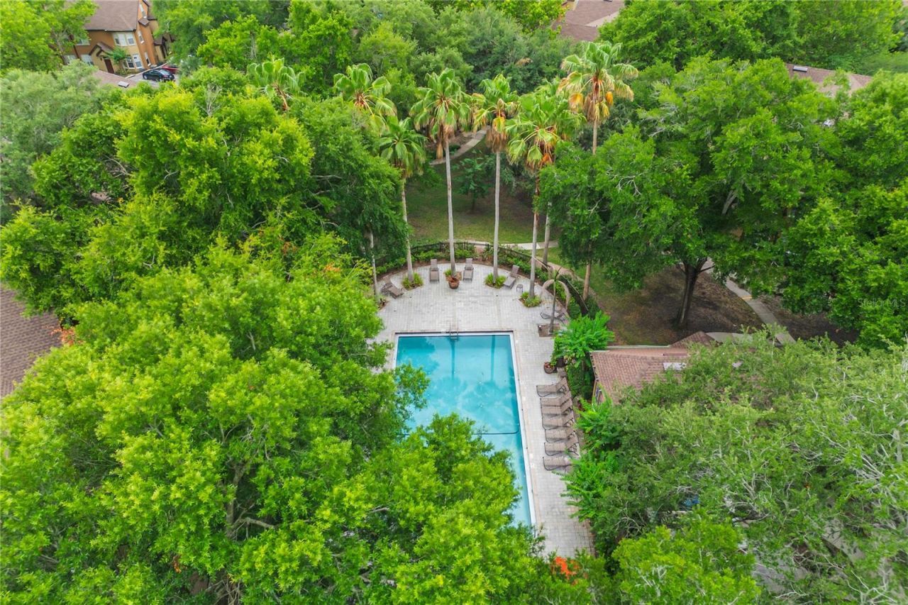 6324 Raleigh Street , Unit 702, Orlando, FL 32835 Photo